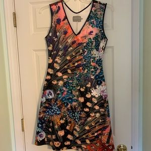 NWOT clover canyon dress